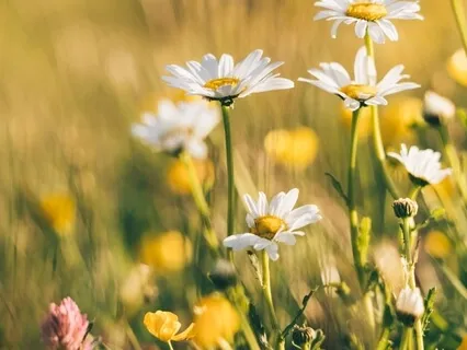 Morning Prayer: Setting A Self-Love Intention For The Day