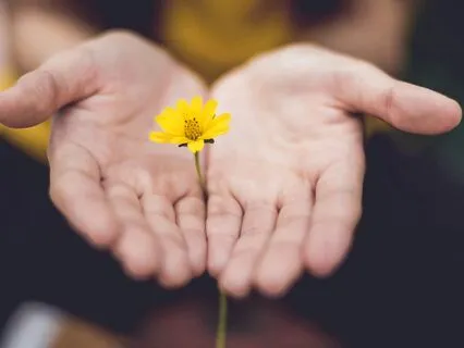 Morning Prayer With Intentions: Sound Shower