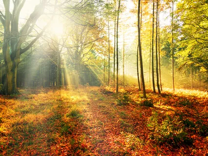 Morning Prayers For Election Week