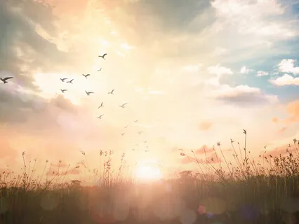 Morning Prayers For November