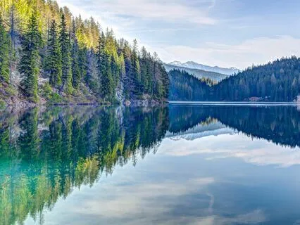 Morning Presence Of Cultivating Kindness