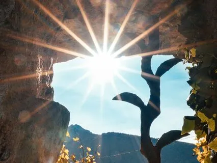 Morning Progressive Relaxation