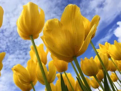 Morning Radiant Glow Meditation