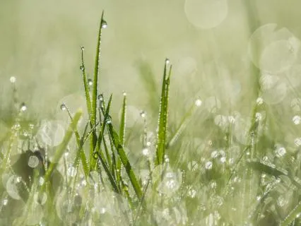 Morning Rain Relaxation