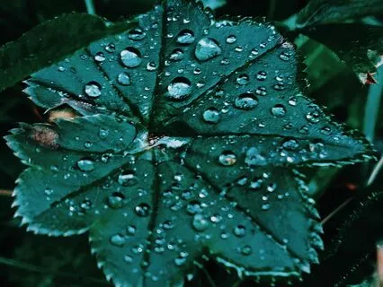 Morning Rain Sound Bath