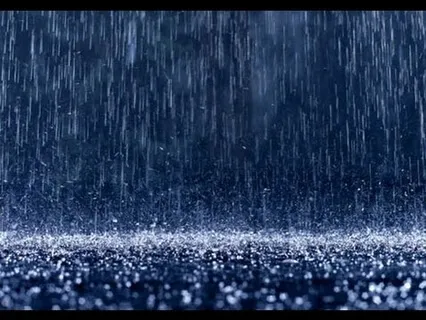 Morning Rain with Birds