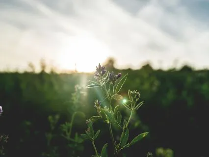 Morning Rampage For A Beautiful Day