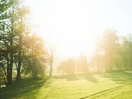 Morning Rebirth: Fresh Start + Ocean | 8 Minutes