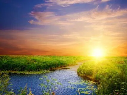 Morning Recharge | Earth & Sun Energy Activation Meditation