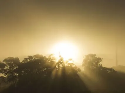 Morning Reflection: Believe In Yourself