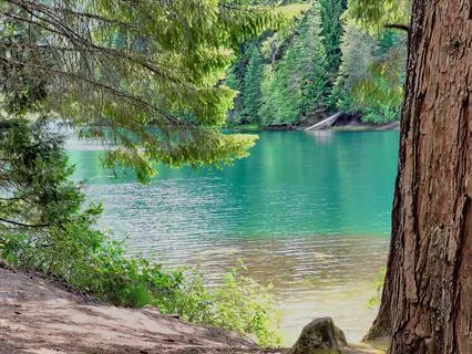 Morning Reflection | Wake Up With Gratitude