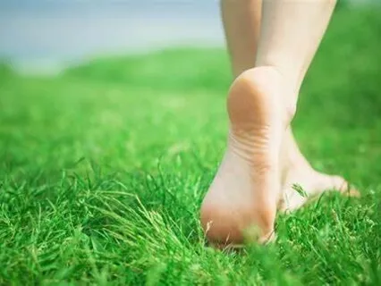 Morning Reflections Meditation