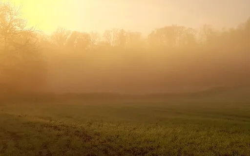 Morning Refresh Meditation 