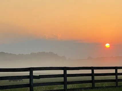 Morning Refresh | Yoga Nidra To Awaken With Energy