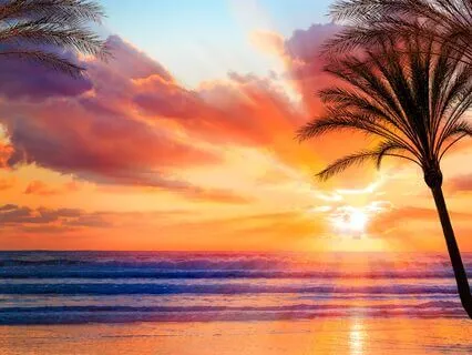 Morning Reiki Heart Opening Meditation