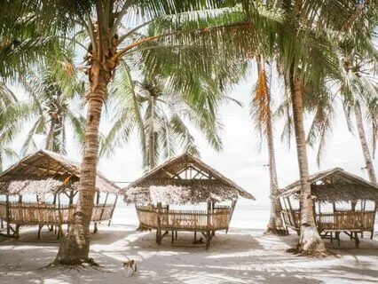 Morning Relaxation In The Beach Hut