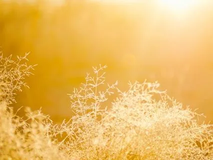 Morning Reminder: Life Is Happening For You