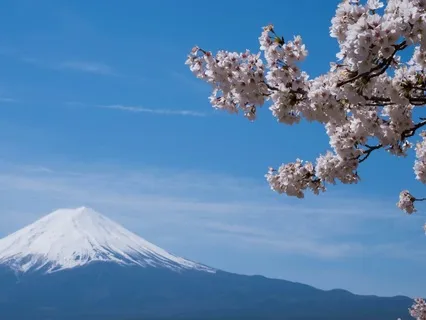 Morning Renewal: An 8 Minute Mountain Meditation