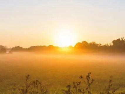 Morning Renewal: Choose Peace