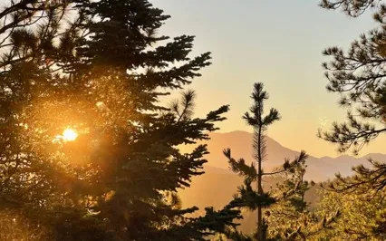 Morning Renewal: Release Stagnant Energy, Foster Love Within