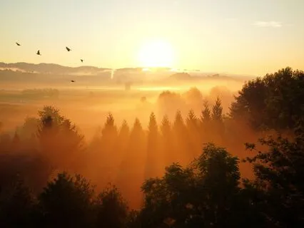 Morning Renewal: Shamanic Energy