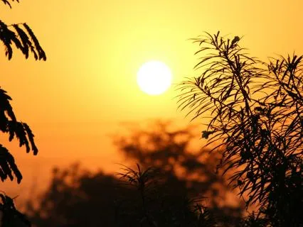 Morning Reset: Gratitude, Peace, & Intention For A Better Day