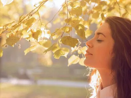 Morning Reset: Lift Your Mood