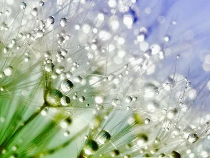 2-Min Morning Ritual: Alignment