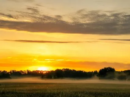 Morning Ritual : Cultivating Joy