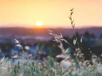 Morning Ritual For Mindful Awareness & Gratitude