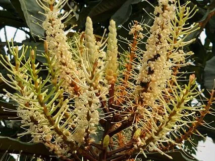 Morning Rituals - A Little Chat