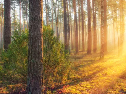 Morning Routine: I'm A Giver Morning Practice