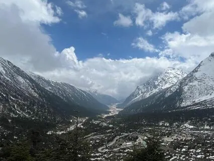 Morning's Bhairavi Bliss