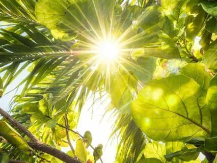 Morning Self Kindness