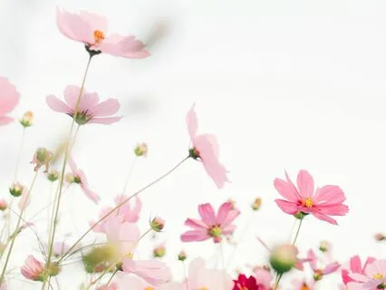 Morning Self Love Affirmation Meditation