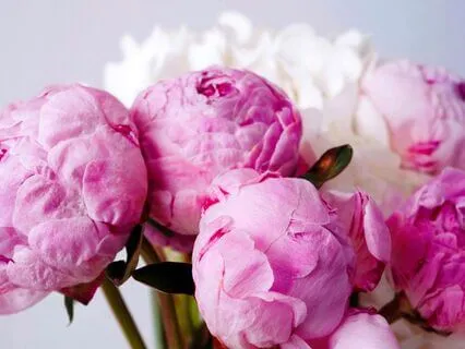 Morning Self-Love Affirmations (With Introduction)