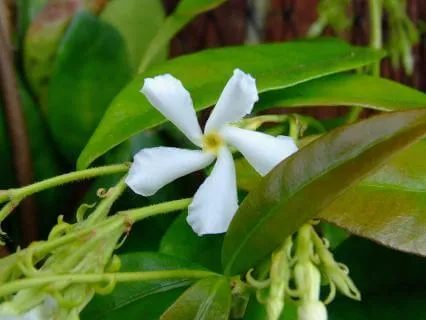 Morning Self-Love Meditation