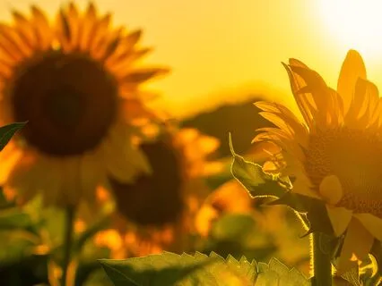 Morning Self-Love & Self-Worth Affirmations