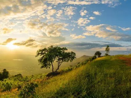 Morning Serenade: Anxiety-Free Start