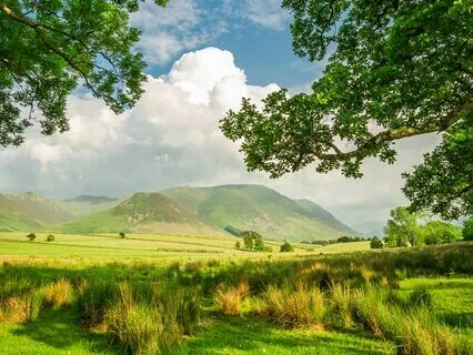 Morning Serenity: Anxiety Relief