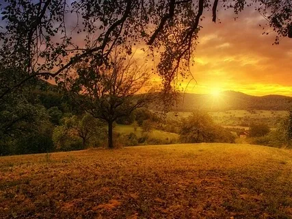 Morning Shamatha Meditation With Body Scan - Updated