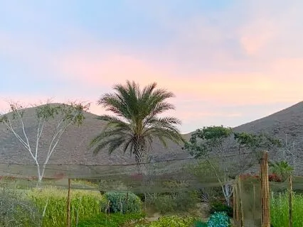 Morning Sit: Ready Yourself In A Good Way