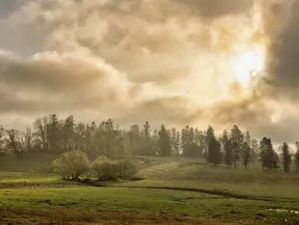 Morning Sky Whispers