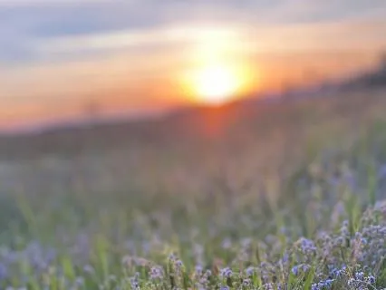 Morning Softening: Affirmations To Invite Ease