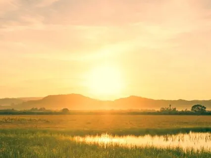 Morning Softness: A Nervous System Reset