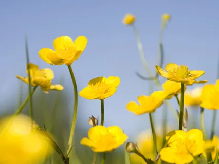 Morning Solar Plexus Affirmation Practice 