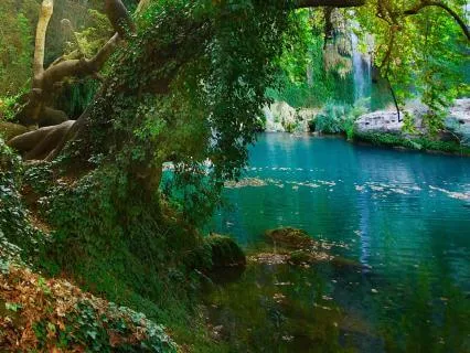 Morning Solitude | Flute Music