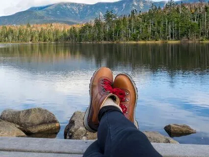 Morning Songbirds In A Forest 7Hz Theta To Relax And Reflect