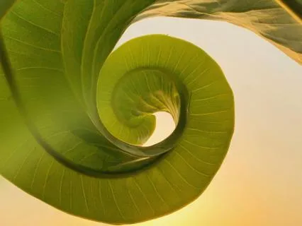 Morning Spiral Breath: Breathe, Move, & Awaken