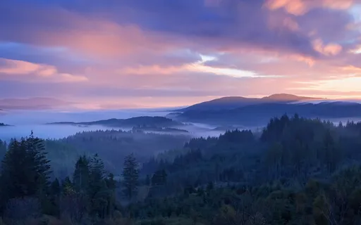 Morning Stillness Meditation ( No Music )